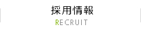 採用情報